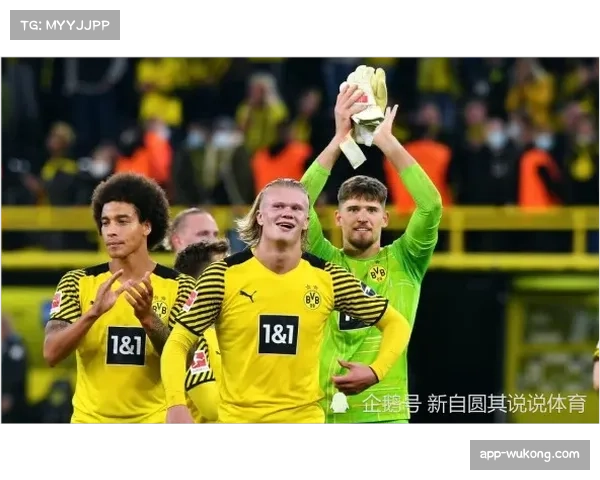 霍芬海姆三名后卫伤疑，后防线面临重组